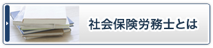 社会保険労務士とは