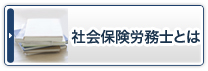 社会保険労務士とは